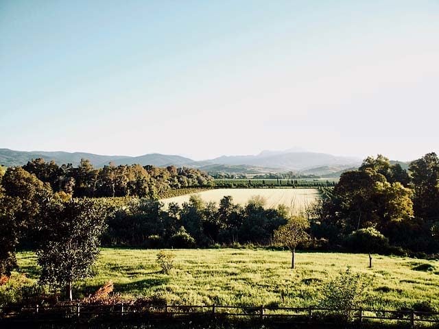 La Finca — La Finca