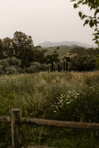 La Finca — La Finca