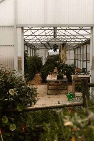 La Finca — La Finca