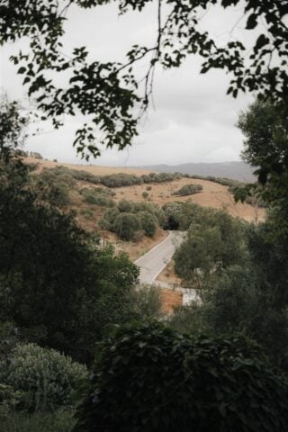 La Finca — La Finca