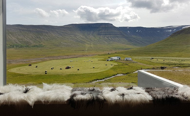 Kleif Farm — Kleif Farm