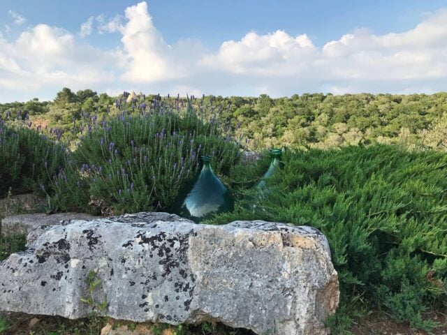 Trullo Mirto — Garden