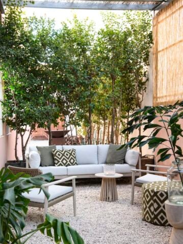Ana Ana Artistic Habitat — Ana Ana Artistic Habitat