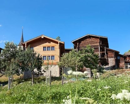 Wallis Heidenhaus — Wallis Heidenhaus