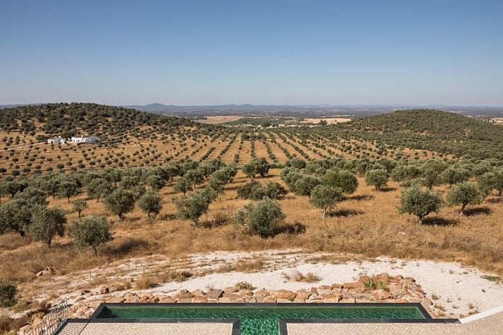 Dá Licença — Dá Licença pool and view